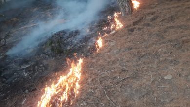 Photo of أزرو / جبل بوطاعة يحترق