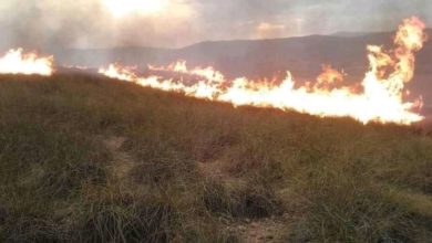 Photo of جرسيف / حريق يدمر 15 هكتارا من الغطاء الغبوي