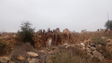 Photo of ساكنة دواوير أربعاء الساحل بإقليم تيزنيت تستغيث
