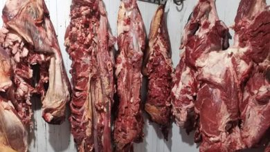 Photo of جرادة / السلطات تحجز كمية كبيرة من اللحوم الفاسدة والمتعفنة