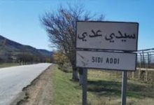 Photo of سيدي عدي/ اعتقال “كساب ” يستعمل  فضلات الدجاج لتعليف الماشية