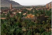 Photo of فجيج اليوم بعيون مهاجر مصدوم
