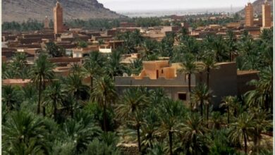 Photo of فجيج اليوم بعيون مهاجر مصدوم