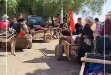 Photo of استعمال العربات المجرورة في نقل التلاميذ .. مخاطر تهدد سلامة أبنائنا