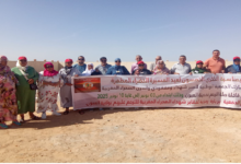 Photo of من مقابر شهداء حرب الصحراء المغربية