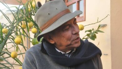 Photo of عيد الوحدة والمسيرة الخضراء .. حين نادت الصحراء فلبّينا النداء