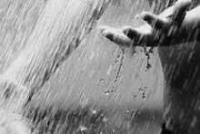 Photo of المطر الذي يمزق أحشاء البائس ..!