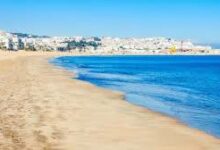 Photo of إعــــــلان عن بيع بقعة أرضية بالوالدية