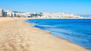 Photo of إعــــــلان عن بيع بقعة أرضية بالوالدية