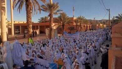 Photo of نبذة عن حراك فكيك
