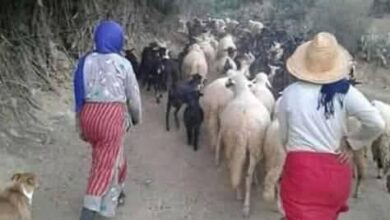 Photo of اليوم العالمي للمرأة حكاية نضال لا تنتهي ..!