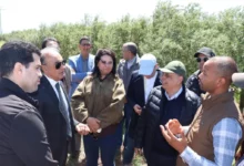 Photo of عامل قلعة السراغنة والمديرة الجهوية للفلاحة في زيارة ميدانية لعدد من المشاريع والبنيات التحتية الفلاحية