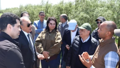 Photo of عامل قلعة السراغنة والمديرة الجهوية للفلاحة في زيارة ميدانية لعدد من المشاريع والبنيات التحتية الفلاحية