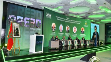 Photo of الرباط/النجاعة الطاقية في صلب السياسات الترابية والماء رافعة مكمّلة للانتقال الطاقي