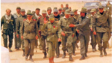 Photo of شهداء صنعوا الوطن فمن يتذكر أبناءهم ..؟