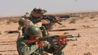 Photo of زيارة مقابر شهداء الوحدة الترابية