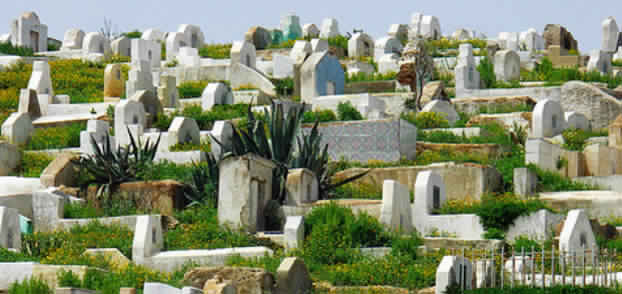 Photo of سيدي سليمان / حملة لتنظيف مقابر المسلمين
