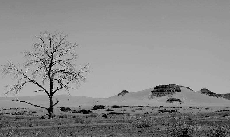 Photo of الجفاف الطبيعي قدر الله والتوزيع العادل لدعم وزارة الفلاحة سيقي الفلاحين من شر ما خلق