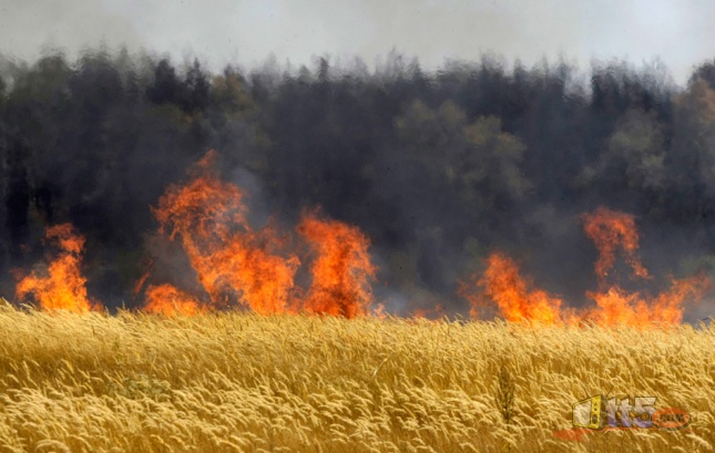 Photo of بلاغ حول الإجراءات والتدابير المتخذة للوقاية من الحرائق وحماية المجال الغابوي على مستوى إقليم تاونات