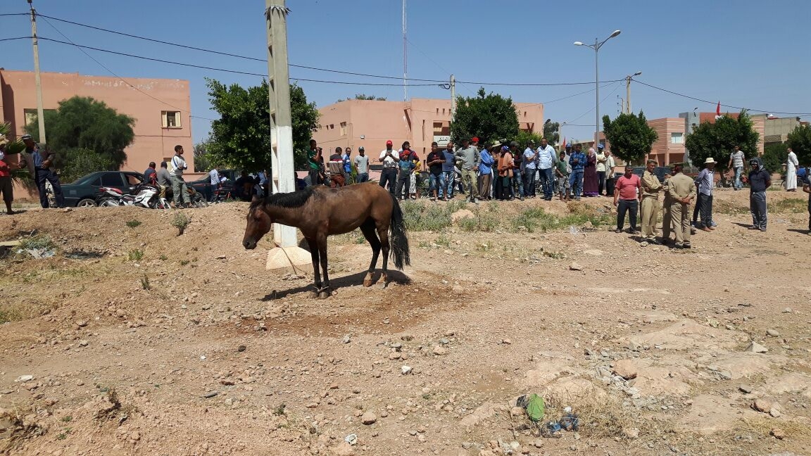 Photo of بيان فرعي المركز المغربي لحقوق الإنسان باحد بوموسى ودار ولد زيدوح