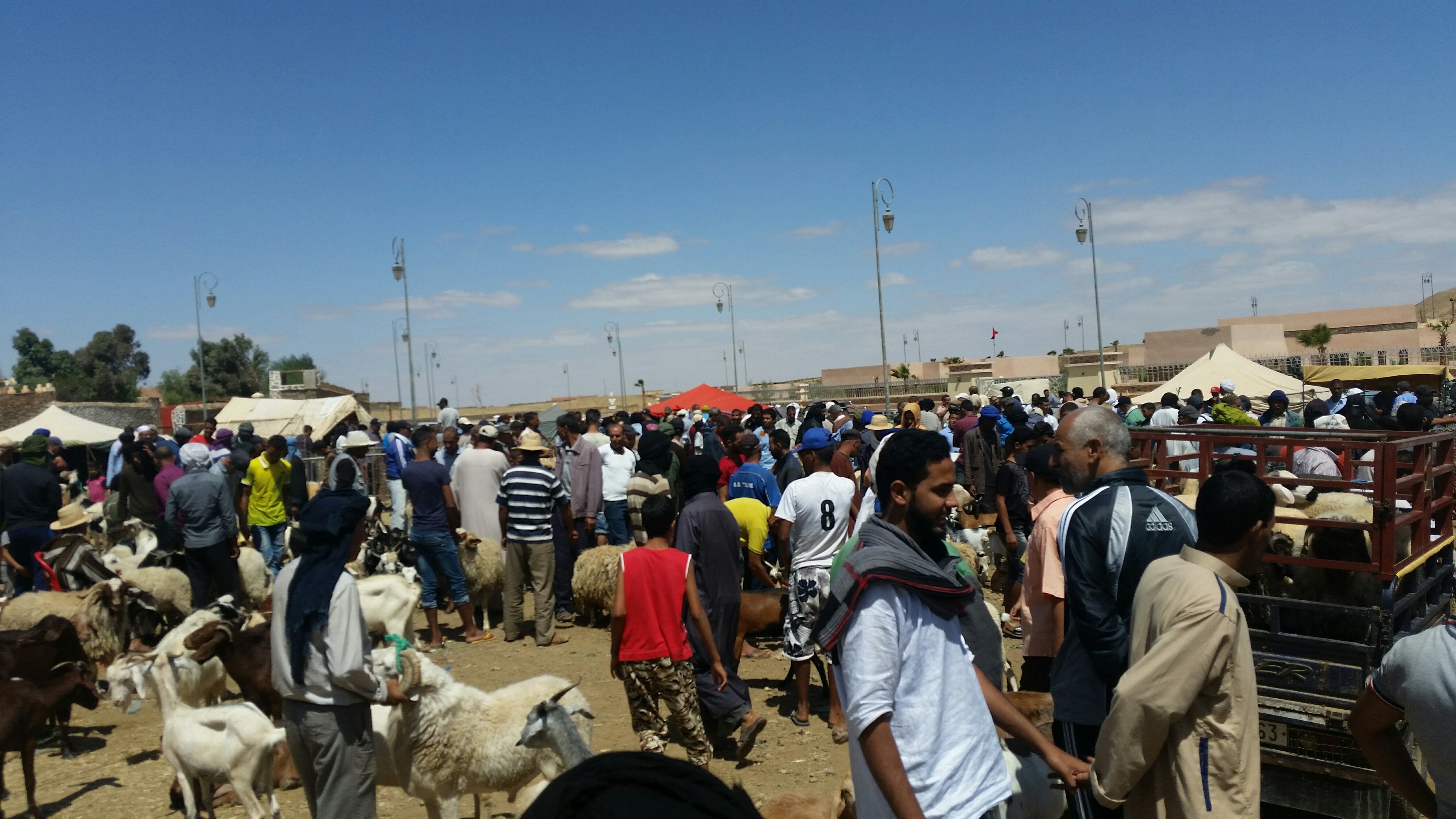 Photo of المواطنون المغاربة بين مطرقة عيد الأضحى  وسندان الدخول المدرسي