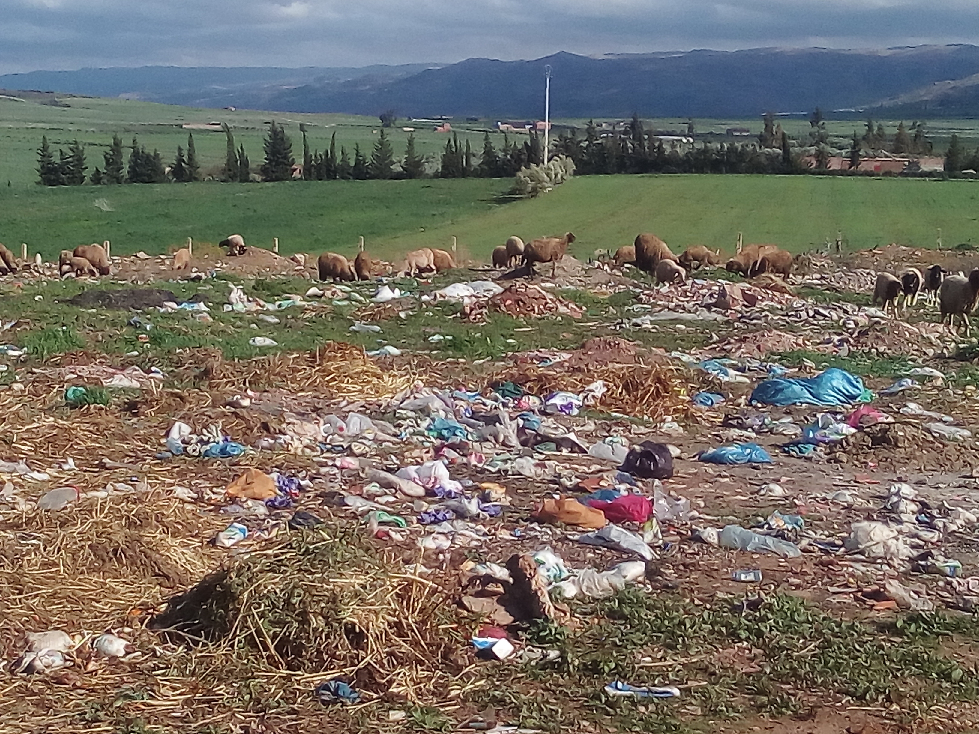 Photo of حول آفة رمي الأزبال بالشارع وبمحيط المنازل