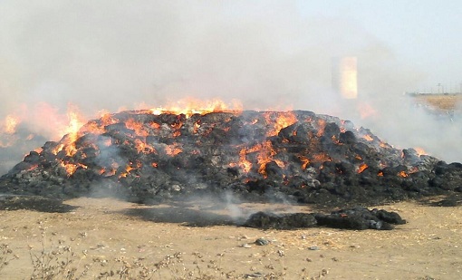 Photo of حريق يأتي عل أكثر من 70 (بالة تبن ) بمنطقة تالحيانت خنيفرة