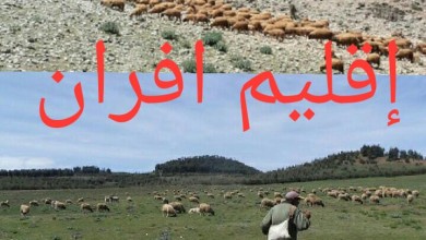 Photo of أزرو / فلاحون بين مطرقة جائحة كورونا وسندان القوة القاهرة وشماتة اللصوص