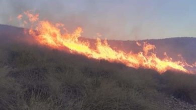 Photo of إقليم جرادة / الحرائق مستمرة بغابة جماعة لبخاتة بدوار الروابح