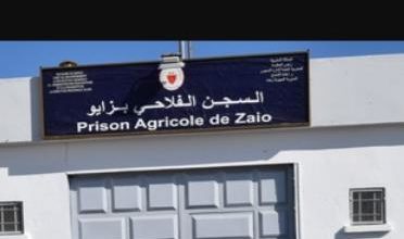 Photo of إقليم الناظور/ سجين بالسجن الفلاحي يتعرض لحريق