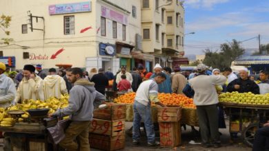 Photo of من أجل حماية الباعة الجائلين وإشراكهم في المنظومة الاقتصادية الوطنية