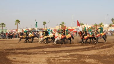 Photo of الدشيرة الجهادية / نجاح باهر لفعاليات الدورة السادسة عشرة للمهرجان الوطني للفروسية التقليدية