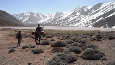 Photo of في اليوم العالمي للجبال .. أي مستقبل لهذه المناطق في غياب عدالة مجالية ..؟