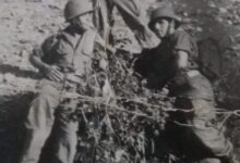 Photo of مأساة شهيد في ذاكرة وطن بلا ذاكرة