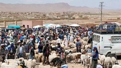 Photo of تالسينت/ السكان يطالبون بتوفير سوق يلبي المعايير الصحية والتنظيمية