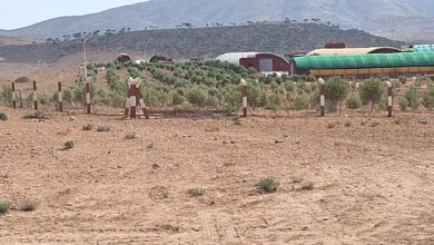 Photo of دواوير بجماعة حاسي بركان بإقليم الناظور تعيش العطش منذ شهرين