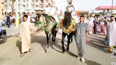 Photo of المجلس العلمي باليوسفية بين حضور المناسبات الرسمية وغياب الأدوار المجتمعية