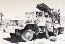 Photo of الصحراء المغربية بين استرجاعها وتنمية أقاليمها .. تضيع حقوق محرريها