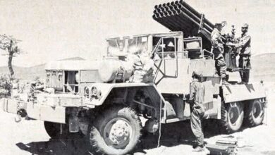 Photo of الصحراء المغربية بين استرجاعها وتنمية أقاليمها .. تضيع حقوق محرريها