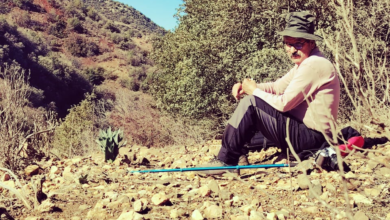 Photo of في اليوم العالمي للجبال..أي مستقبل لهذه المناطق في غياب عدالة مجالية .. ؟